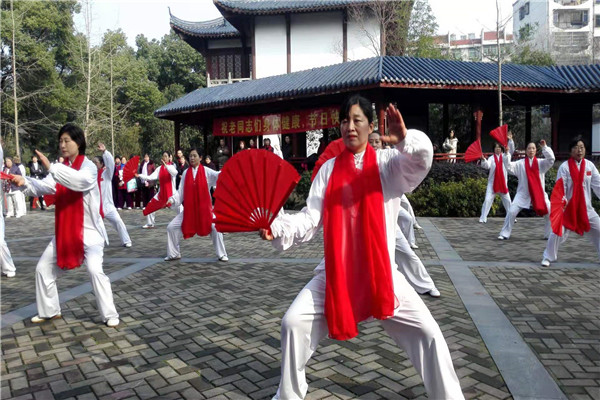 市老年体协拳剑专委会开展喜迎“三八”妇女节展示活动